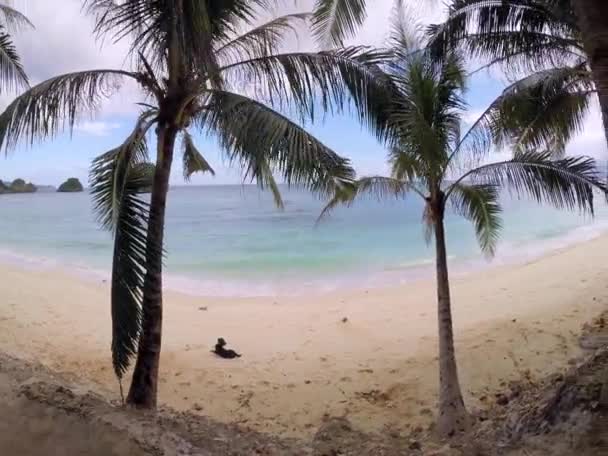 Luchtfoto vlucht: kustlijn van exotische eiland en het witte strand met palmen — Stockvideo