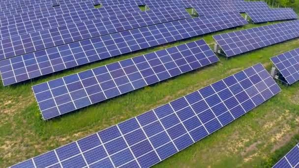 Aerial flight over blue solar panels — Stock Video