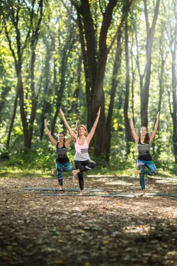 doğada grup egzersizleri