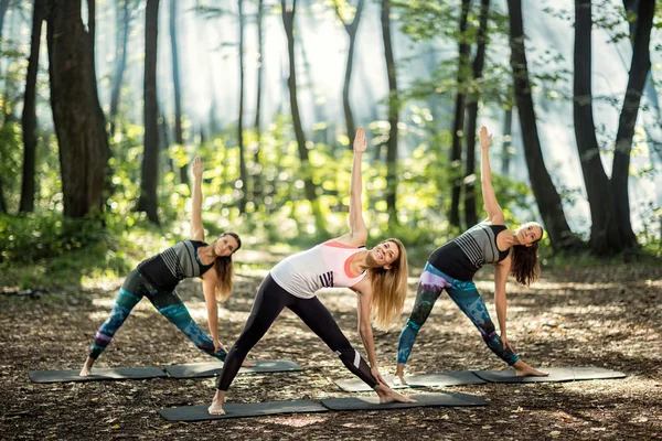 Stretching exercises in nature — Stock Photo, Image