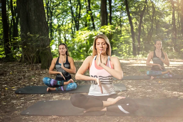 Flexibles Weibchen macht Yoga im Wald — Stockfoto