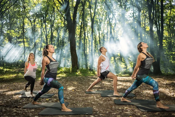 Gruppe junger Leute hält sich mit Bewegung im Wald fit — Stockfoto