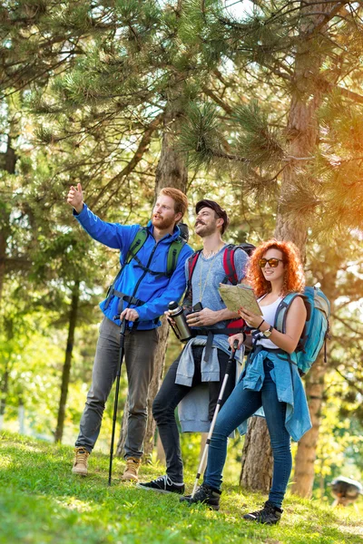 Hikers looking at the way in distance — Stock Photo, Image