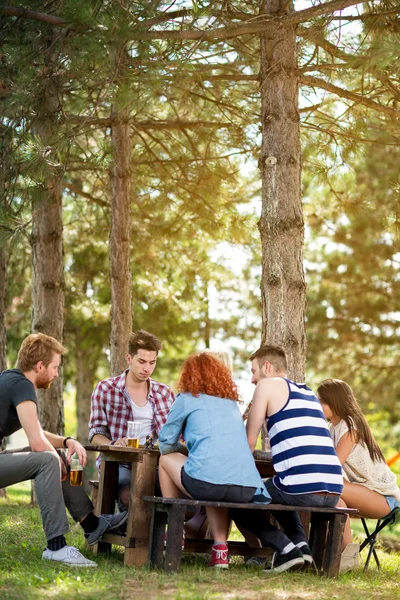Teenagers on holiday in nature play chess — Stock Photo, Image