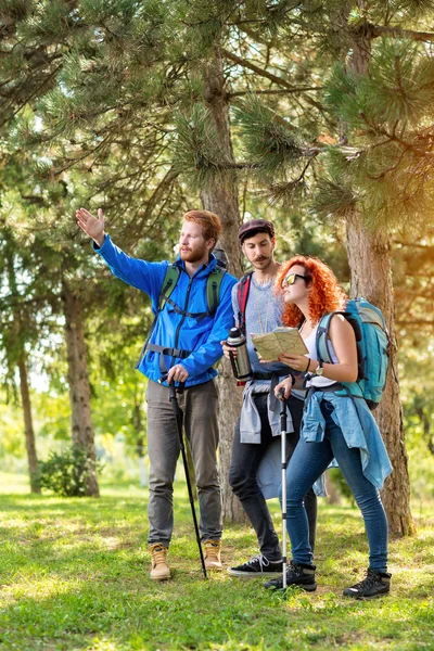 Hikers show with arm way through wood — Stock Photo, Image