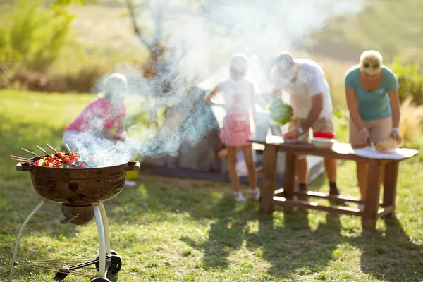 Pinchos de carne a la parrilla barbacoa — Foto de Stock