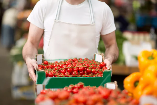Salesman holding cherry tomato at street market — Stock Fotó