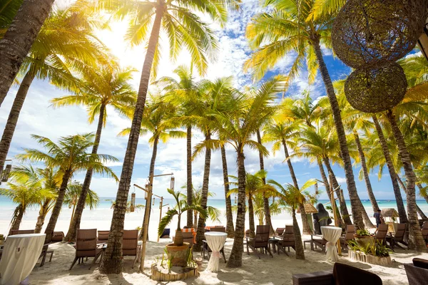 Resort tropical com palmeiras — Fotografia de Stock