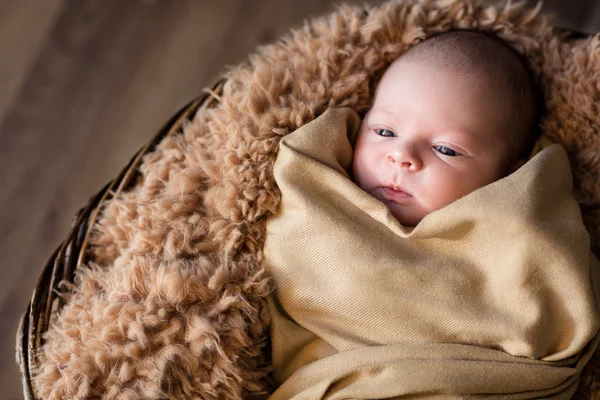 Envuelto recién nacido acostado en la cesta —  Fotos de Stock