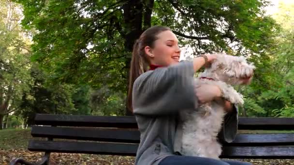 Mujer joven abrazando a su perro blanco en el parque al aire libre — Vídeos de Stock