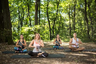Bir grup genç insan yeşil orman yoga yapıyor