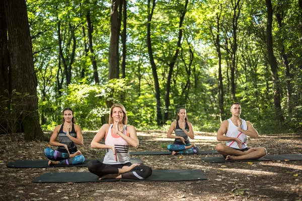 Skupina mladých lidí, kteří dělají jógu v zeleném lese — Stock fotografie