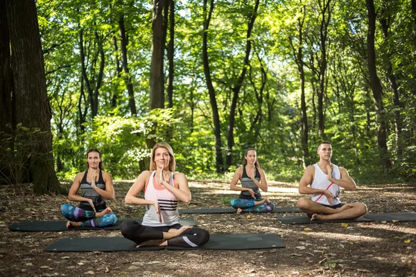 Gruppe junger Leute macht Yoga im grünen Wald — Stockfoto