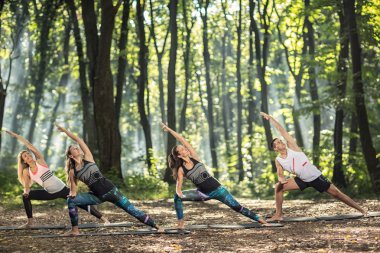 Bir grup genç insan kolay fiziksel egzersizler yapılır 