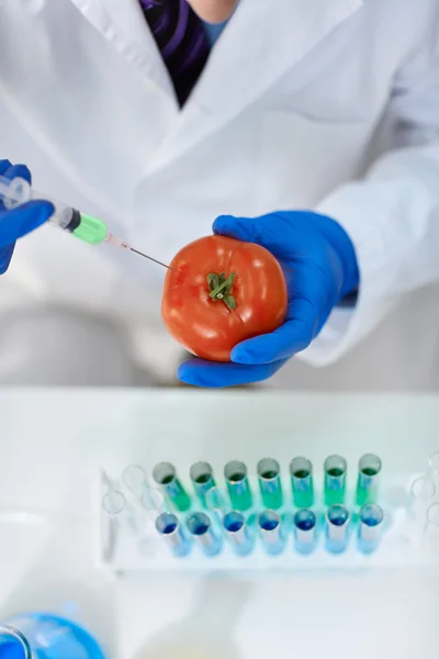 Científico inyectando químicos en un tomate — Foto de Stock
