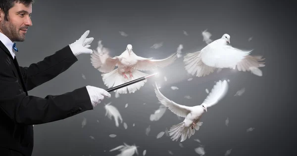 Magician performs the trick with a pigeon — Stock Photo, Image