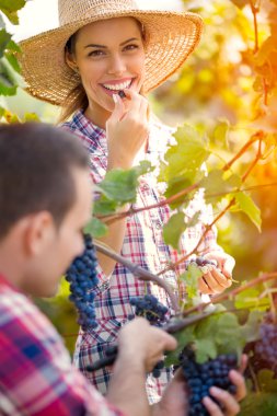 Çift bağ çalışma birlikte