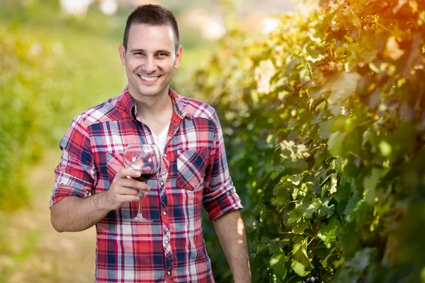 Mann lächelt und hält Glas Wein in der Hand — Stockfoto