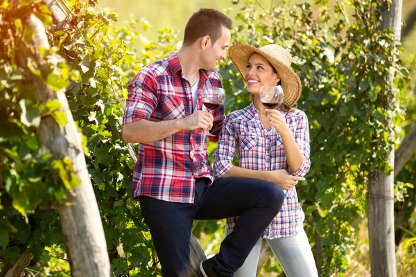Paar in liefde roosteren met wijn in de wijngaard — Stockfoto
