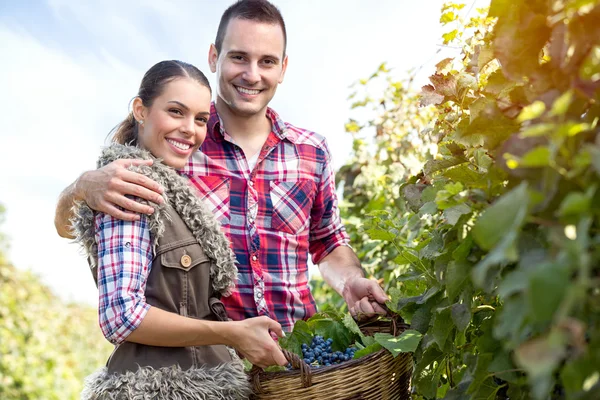 Couple d'agriculteurs dans le vignoble — Photo