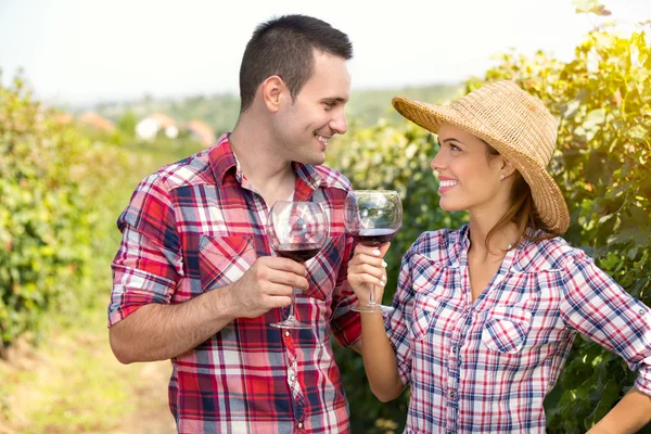 Romantiska par i vingården rostningen — Stockfoto