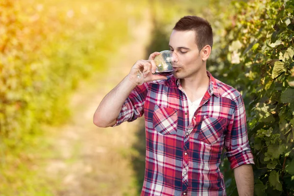 Молодий чоловік п'є вино у винограднику — стокове фото