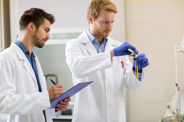 Técnicos de laboratório trabalhando em laboratório — Fotografia de Stock