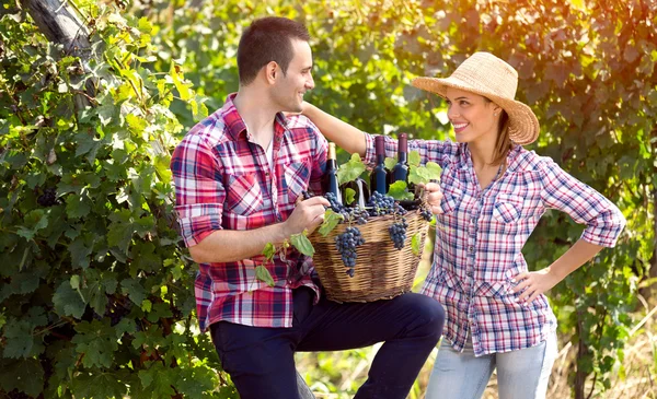 Cheerful farmers couple in vineyard — Stock Photo, Image