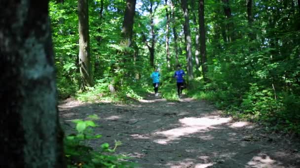 Corriendo corriendo en el bosque. entrenamiento de la mujer, correr, trotar, fitness, corredor - video hd — Vídeo de stock