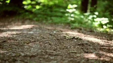 ormanda koşu çalıştırıyor. Eğitim, koşu, koşu, fitness, runner - hd video kadın