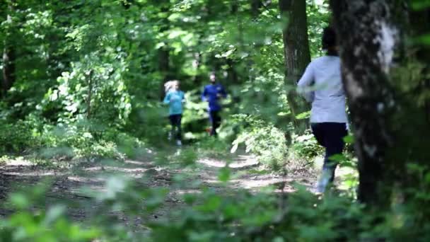 Correndo correndo na floresta. mulher formação, corrida, corrida, fitness, corredor - hd vídeo — Vídeo de Stock