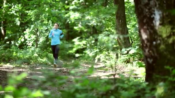 courir le jogging en forêt. femme entrainement, course, jogging, fitness, coureur - hd video 