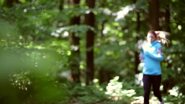 Kör jogging i skogen. kvinna som träning, löpning, jogging, fitness, runner - hd-video — Stockvideo
