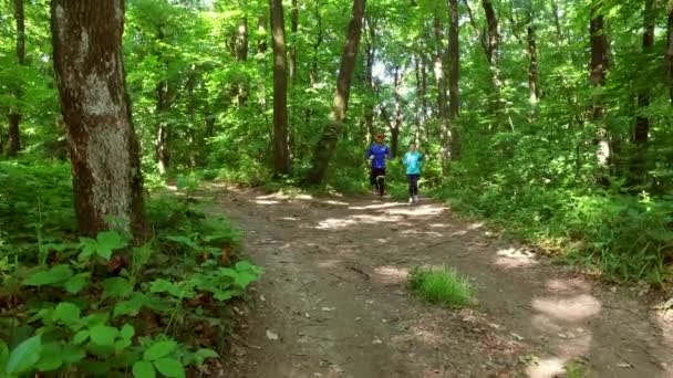 Kör jogging i skogen. kvinna träning, löpning, jogging, fitness, runner - 4k-video — Stockvideo