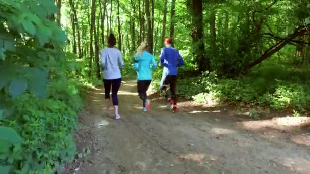 Corriendo corriendo en el bosque. entrenamiento de la mujer, correr, trotar, fitness, runner-4k video — Vídeos de Stock