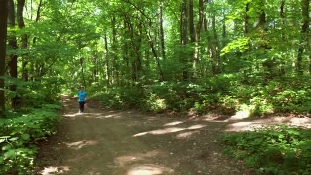 森林でのジョギングを実行しています。女性トレーニング、実行している、ジョギング、フィットネス、ランナー-4 k 映像 — ストック動画
