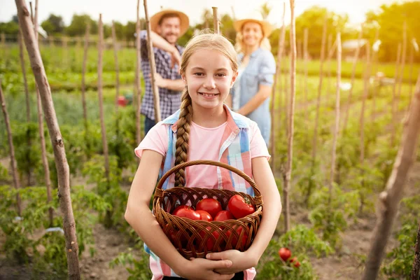 Dziewczynka gospodarstwa kosz z pomidorami — Zdjęcie stockowe