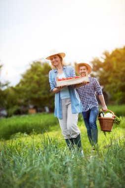 Sebze taze getiren çiftçi aldı 