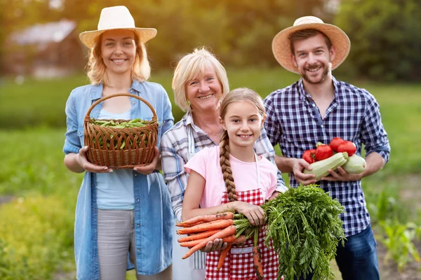 Çiftçi aile organik yetiştirilen sebze ile — Stok fotoğraf