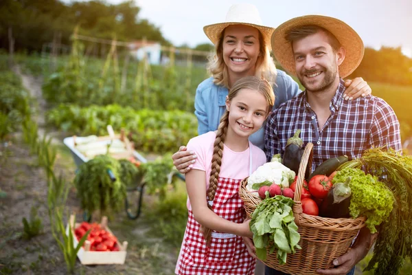 Задоволені фермери сім'ї з органічними овочами — стокове фото