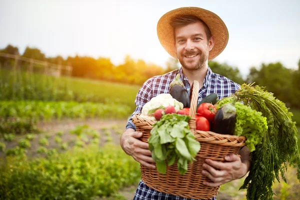 stock image Man holding basket with organic vegetables