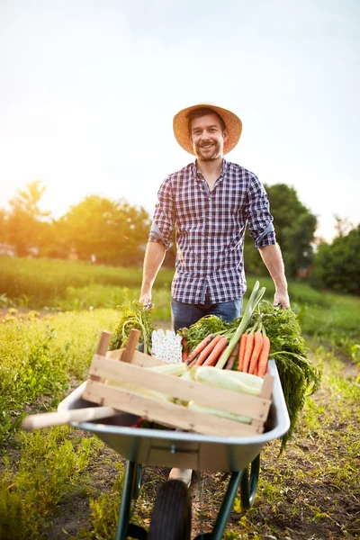 Boer in de tuin met kruiwagen — Stockfoto