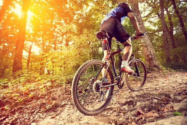 Mann beim Mountainbiken — Stockfoto