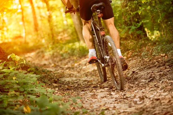 Desporto de bicicleta de montanha close-up — Fotografia de Stock