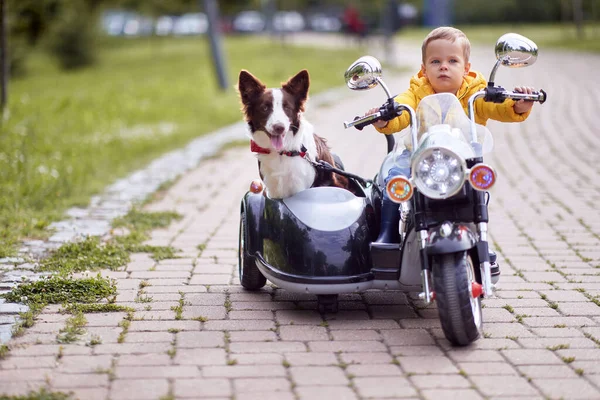 Gelukkig Kleine Jongen Rijden Een Speelgoed Motorfiets Met Zijn Hond — Stockfoto