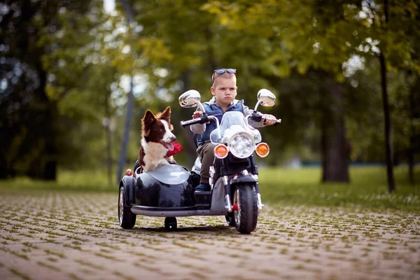 Little Boy Rijden Een Speelgoed Motorfiets Met Zijn Hond Een — Stockfoto
