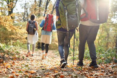 Doğada sonbahar yürüyüşü, arka plan yürüyüşü yapan yürüyüşçüler