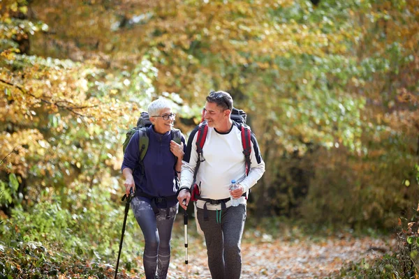 Cheerful elder couple hiking in forest