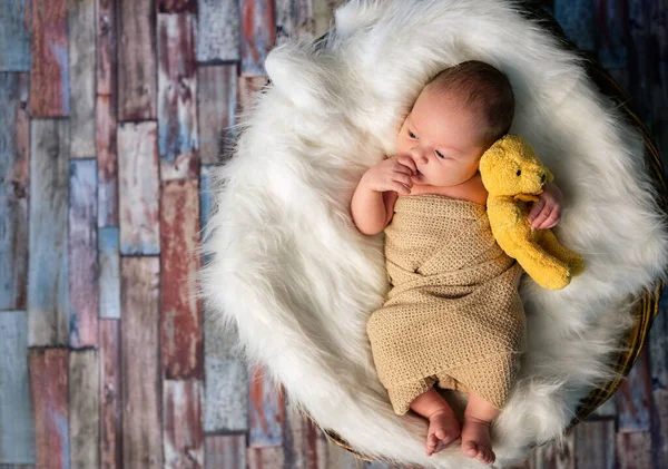 Nyfødt Baby Som Klemmer Teddyøl – stockfoto