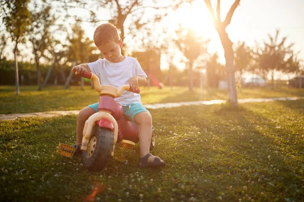 Niño Pequeño Montando Una Bicicleta Patio Granja Hermoso Día Soleado —  Fotos de Stock
